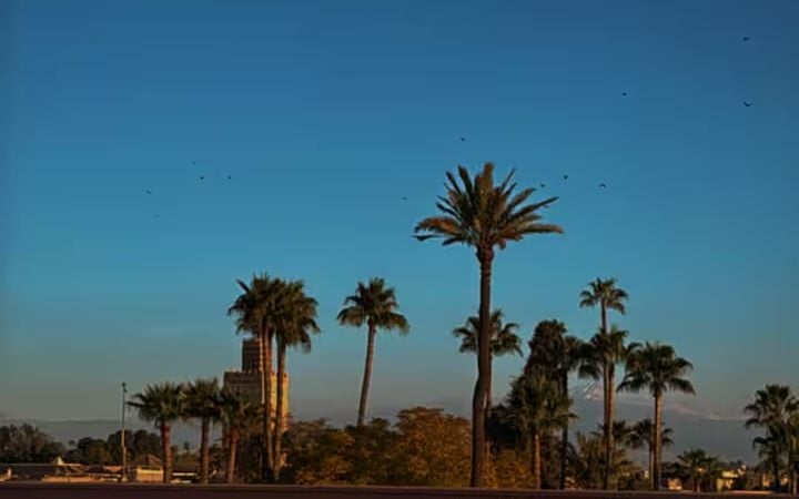 View over the ochre rooftops of the Marrakech medina, palm trees and a minaret, from Riad Sasha's terrace